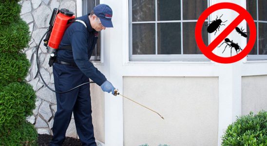 Adaklı Pire İlaçlama böcek ilaçlama ve haşere kontrolü — ilaclama-tr.com